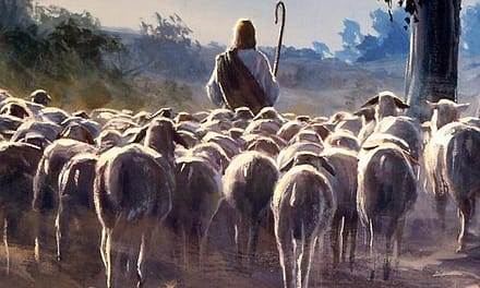 Free sheep under the true Shepherd
